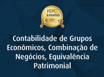 Contabilidade de Grupos Econômicos, Combinação de Negócios, Equivalência Patrimonial