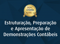 Estruturação, Preparação e Apresentação de Demonstrações Contábeis