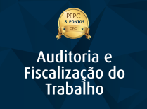 auditoria e fiscalizacao do trabalho